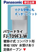 Panasonic FJ-T09F3-W