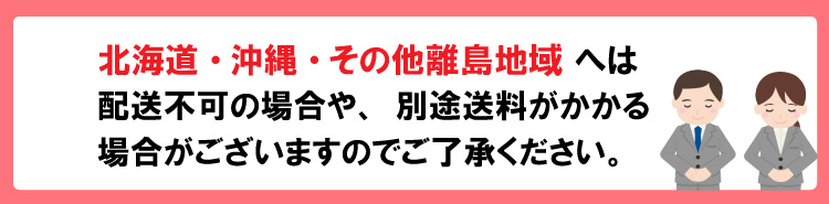 2021超人気 e-キッチンまてりある メーカー直送 サンポール テンサバリアー 屋内用 ベルト色