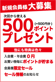 500ポイントプレゼント