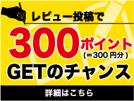 300ポイントGETのチャンス