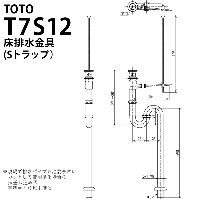 r(SgbvjTOTO [T7S12]