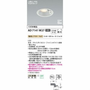 LED_ECg hJ^ lZTt CSB` RCY~ koizumi [KAD7141W27] dF 񒲌 100 LEDs 핹ps dCHKv Ɩ