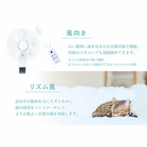 @ Ǌ| zCg [YKW-380EFR(W)] Rt 肪͂ԂɂS 34.3~s28~46.5cm ATvCX
