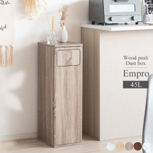 _Xg{bNX Empro Gv[ J g Ή|܁F45L [600800038] DB-800R-MOCCA {쏊 [J[