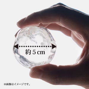 SەX@ z[o[e_[ X@ [ON-12] AC100V ă{^ 1Ԗ2 nɂ  ^b` ۗ