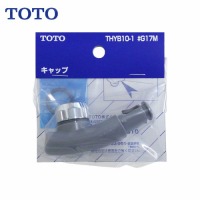 pp[c fMLbv TOTO [THYB10-1#G17M] TKG31^p Lbvt
