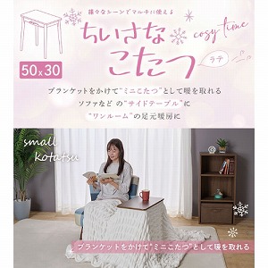 yoׁzȂe[u e530F 50~30cm [LATE530F(WW)] zCgEHbV uPbgEѕzok U`Ήpǃq[^[200W ATvCX