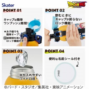 �V�����_�[�x���g�t�_�C���N�g�{�g��600ml �h���S���{�[��DAIMA �X�P�[�^�[ Skater [4973307712739] STCH6