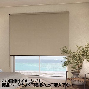 ���[���X�N���[�� �f�B�A���I�Ռ� ��61~90�~����201~250cm [RSHDS61-90-201-250] ����@�H�^�`�J�� �ύX�L�����Z���s�� ���[�J�[����