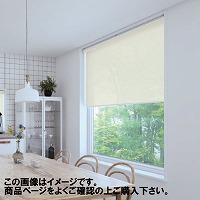 ���[���X�N���[�� �R�R�����E�H�b�V���u�� ��91~135�~����201~250cm [RSHCW91-135-201-250] ����@�H�^�`�J�� �ύX�L�����Z���s�� ���[�J�[����