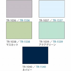 ���[���X�N���[�� �R�R�����ՔM ��41~60�~����181~200cm [RSHCS41-60-181-200] ����@�H�^�`�J�� �ύX�L�����Z���s�� ���[�J�[����