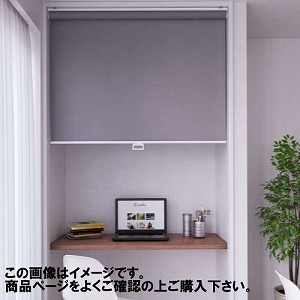 ���[���X�N���[�� �R�R�����h�� ��181~200�~����201~250cm [RSHCB181-200-201-250] ����@�H�^�`�J�� �ύX�L�����Z���s�� ���[�J�[����