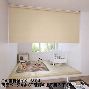 ���[���X�N���[�� �R�R�����R�ہ{ ��181~200�~����30~90cm [RSHCK181-200-30-90] ����@�H�^�`�J�� �ύX�L�����Z���s�� ���[�J�[����