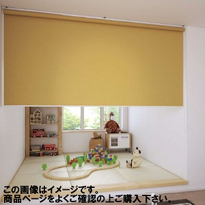 ���[���X�N���[�� �N�I���G ��61~90�~����201~250cm [RSHQ61-90-201-250] ����@�H�^�`�J�� �ύX�L�����Z���s�� ���[�J�[����