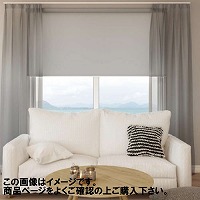 ���[���X�N���[�� �l�����Ռ�2�� ��136~180�~����91~180cm [RSHN136-180-91-180] ����@�H�^�`�J�� �ύX�L�����Z���s�� ���[�J�[����