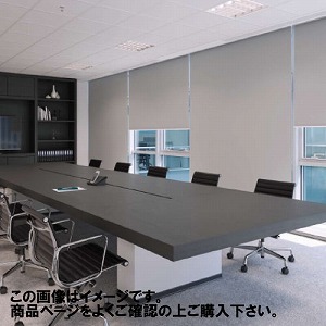 ���[���X�N���[�� �m�[�e�Ռ�2���h�� ��181~200�~����251~300cm [RSHNT181-200-251-300] ����@�H�^�`�J�� �ύX�L�����Z���s�� ���[�J�[����