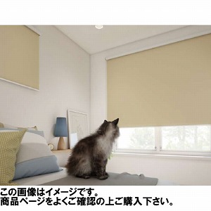 ���[���X�N���[�� �V�G�����Ռ�1�� ��25~40�~����30~90cm [RSHCL25-40-30-90] ����@�H�^�`�J�� �ύX�L�����Z���s�� ���[�J�[����