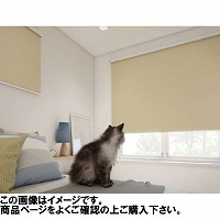 ���[���X�N���[�� �V�G�����Ռ�1�� ��61~90�~����30~90cm [RSHCL61-90-30-90] ����@�H�^�`�J�� �ύX�L�����Z���s�� ���[�J�[����