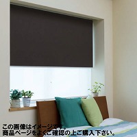 �_�u�����[���X�N���[�� �m�E���{�q�����G���[�X ��61~90�~����91~120cm [RSWBK61-90-91-120] ����@�H �ύX�L�����Z���s�� ���[�J�[����