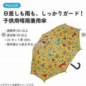 ���J���p�P �q���p���J���p�P��J��45cm �X�P�[�^�[ Skater [4973307541766] �f�B�m�T�E���X �W�����V�b�N UBSR1 UV�J�b�g �Ռ� �ՔM