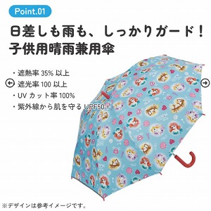 ���J���p�P �q���p���J���p�P��J��50cm �X�P�[�^�[ Skater [4973307557477] �f�B�Y�j�[ �v�����Z�X UBSR2 UV�J�b�g �Ռ� �ՔM