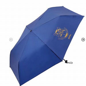 ���J���p�P �y�ʒ�����55cm�܂肽���ݎP �X�P�[�^�[ Skater [4973307674914] �n���[�|�b�^�[ UBUWO55 UV�J�b�g