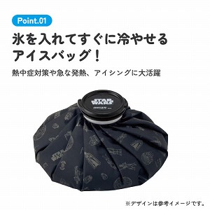 �A�C�X�o�b�O �X�̂� �k ���a24cm �X�P�[�^�[ Skater [4973307735608] �X�^�[�E�H�[�Y STARWARS ICB3 �A�C�X�p�b�N �A�C�V���O �X�����Ă�����₹��