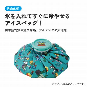 �A�C�X�o�b�O �X�̂� �k ���a24cm �X�P�[�^�[ Skater [4973307735615] �g�C�X�g�[���[ ICB3 �A�C�X�p�b�N �A�C�V���O �X�����Ă�����₹��