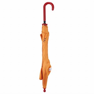 �蓮�J���P45cm �q�ǂ��p���P �X�P�[�^�[ Skater [4973307722509] �e�B���m�T�E���X ���� UBER45N �y���ď�v�Ő܂�ɂ����O���X�t�@�C�o�[ �w�����݂ɂ���