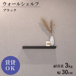 �E�H�[���V�F���t �΍p�s���d�l W300mm �u���b�N [XZN001A7] D120�~H40 �ω׏d3kg 9.5mm�ȏ�΍p�{�[�h�ɑΉ� �A�����^�b�N�X ALMETAX ���[�J�[����