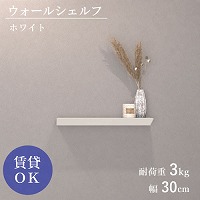 �E�H�[���V�F���t �΍p�s���d�l W300mm �z���C�g [XZN001W4] D120�~H40 �ω׏d3kg 9.5mm�ȏ�΍p�{�[�h�ɑΉ� �A�����^�b�N�X ALMETAX ���[�J�[����