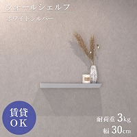 �E�H�[���V�F���t �΍p�s���d�l W300mm �z���C�g�V���o�[ [XZN001Q6] D120�~H40 �ω׏d3kg 9.5mm�ȏ�΍p�{�[�h�ɑΉ� �A�����^�b�N�X ALMETAX ���[�J�[����