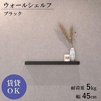 �E�H�[���V�F���t �΍p�s���d�l W450mm �u���b�N [XZN002A7] D120�~H40 �ω׏d5kg 9.5mm�ȏ�΍p�{�[�h�ɑΉ� �A�����^�b�N�X ALMETAX ���[�J�[����