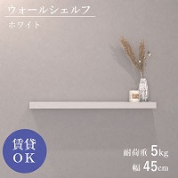 �E�H�[���V�F���t �΍p�s���d�l W450mm �z���C�g [XZN002W4] D120�~H40 �ω׏d5kg 9.5mm�ȏ�΍p�{�[�h�ɑΉ� �A�����^�b�N�X ALMETAX ���[�J�[����